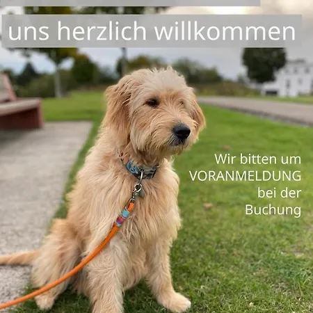 Timon Grosszuegig Modern Mit Terrasse Ca 50 Qm شقة