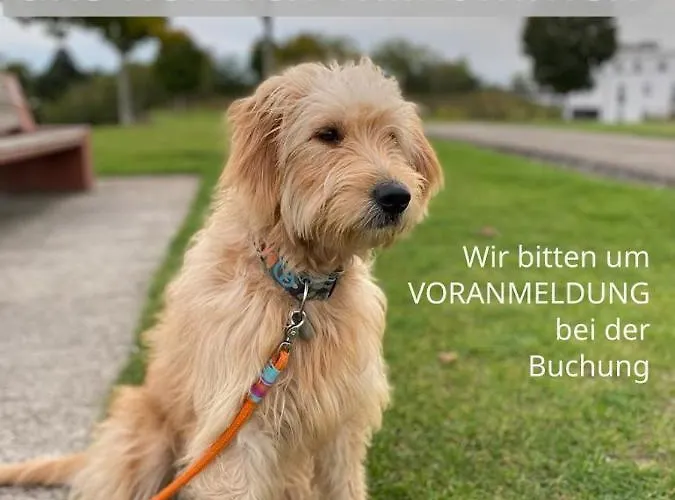 Timon Grosszuegig Modern Mit Terrasse Ca 50 Qm Daire